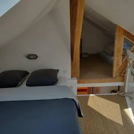 La Baleine - Hyper Centre, Charme Et Calme A Deux Pas De La Апартаменты