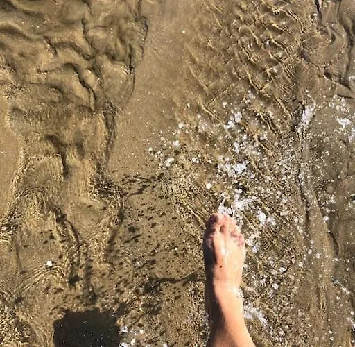 La Baleine - Hyper Centre, Charme Et Calme A Deux Pas De La شقة كابورغ