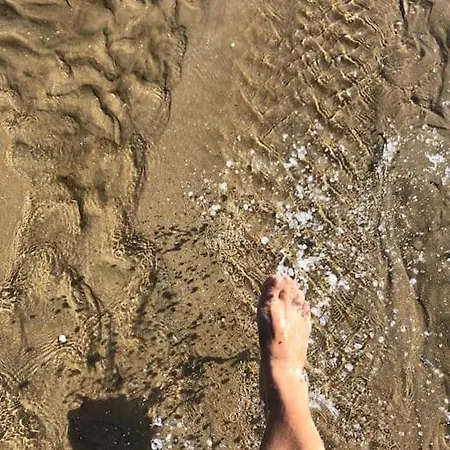 La Baleine - Hyper Centre, Charme Et Calme A Deux Pas De La Appartement Cabourg