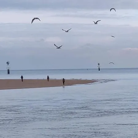 Daire La Baleine - Hyper Centre, Charme Et Calme A Deux Pas De La Cabourg