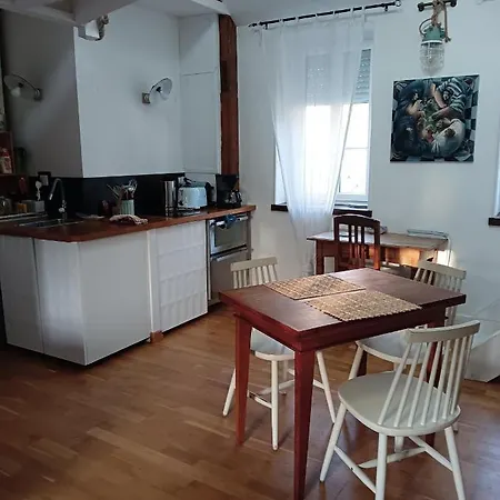 Appartement La Baleine - Hyper Centre, Charme Et Calme A Deux Pas De La