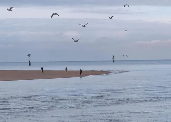 Daire La Baleine - Hyper Centre, Charme Et Calme A Deux Pas De La Cabourg
